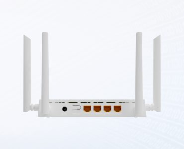 Copy of Back