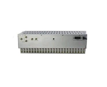 Rasa Raino Digital Analogue Modulator 24 in 1 back